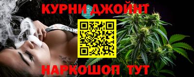 крисы Будённовск