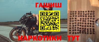 крисы Будённовск