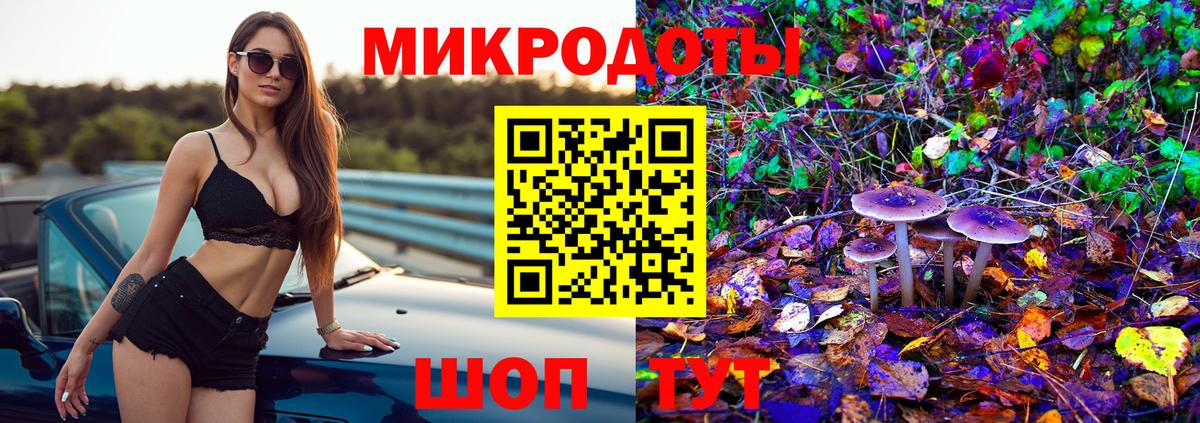 Псилоцибиновые грибы Psilocybine cubensis  Вход с VPN  Шали 